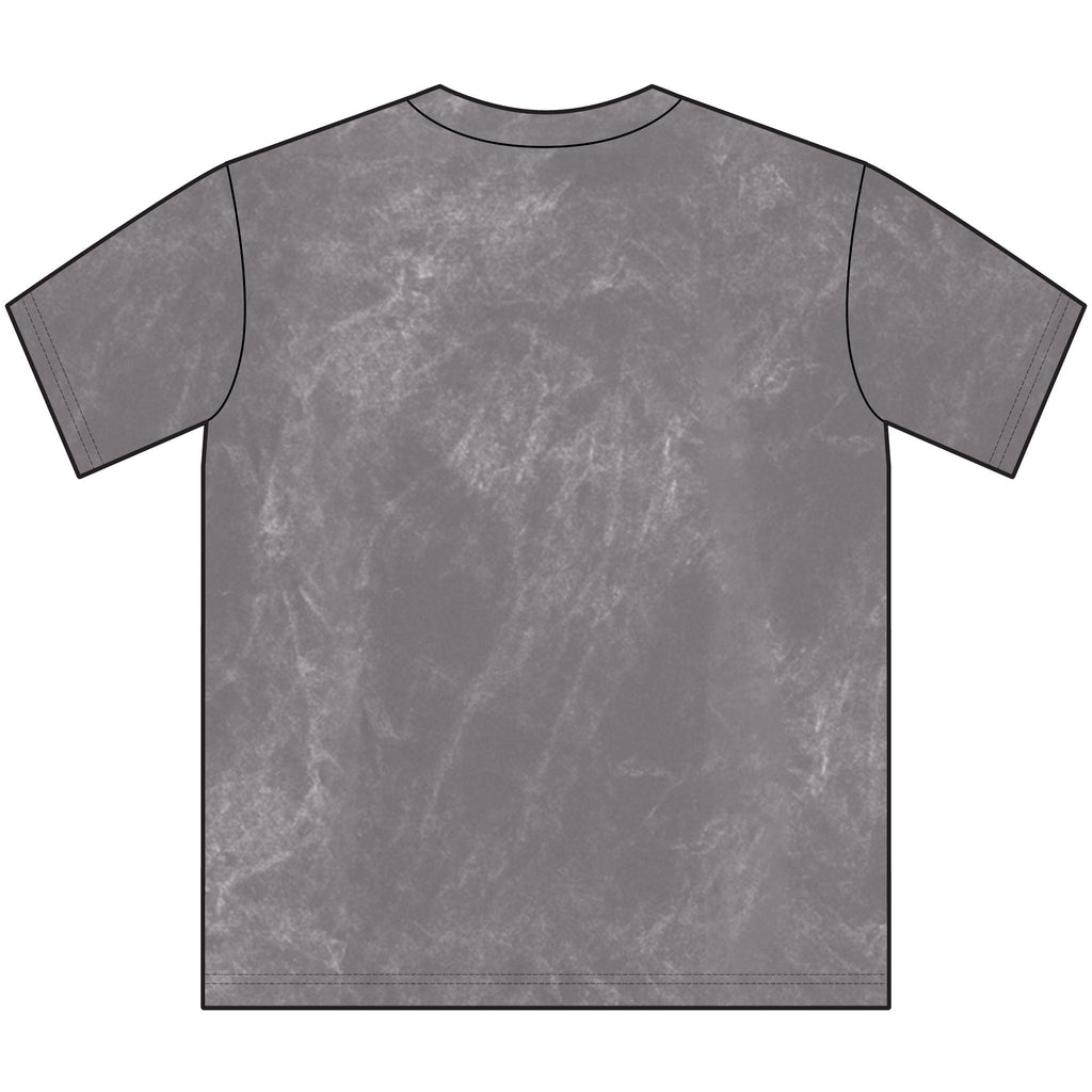 Vintage AAMU Social Work T-Shirt