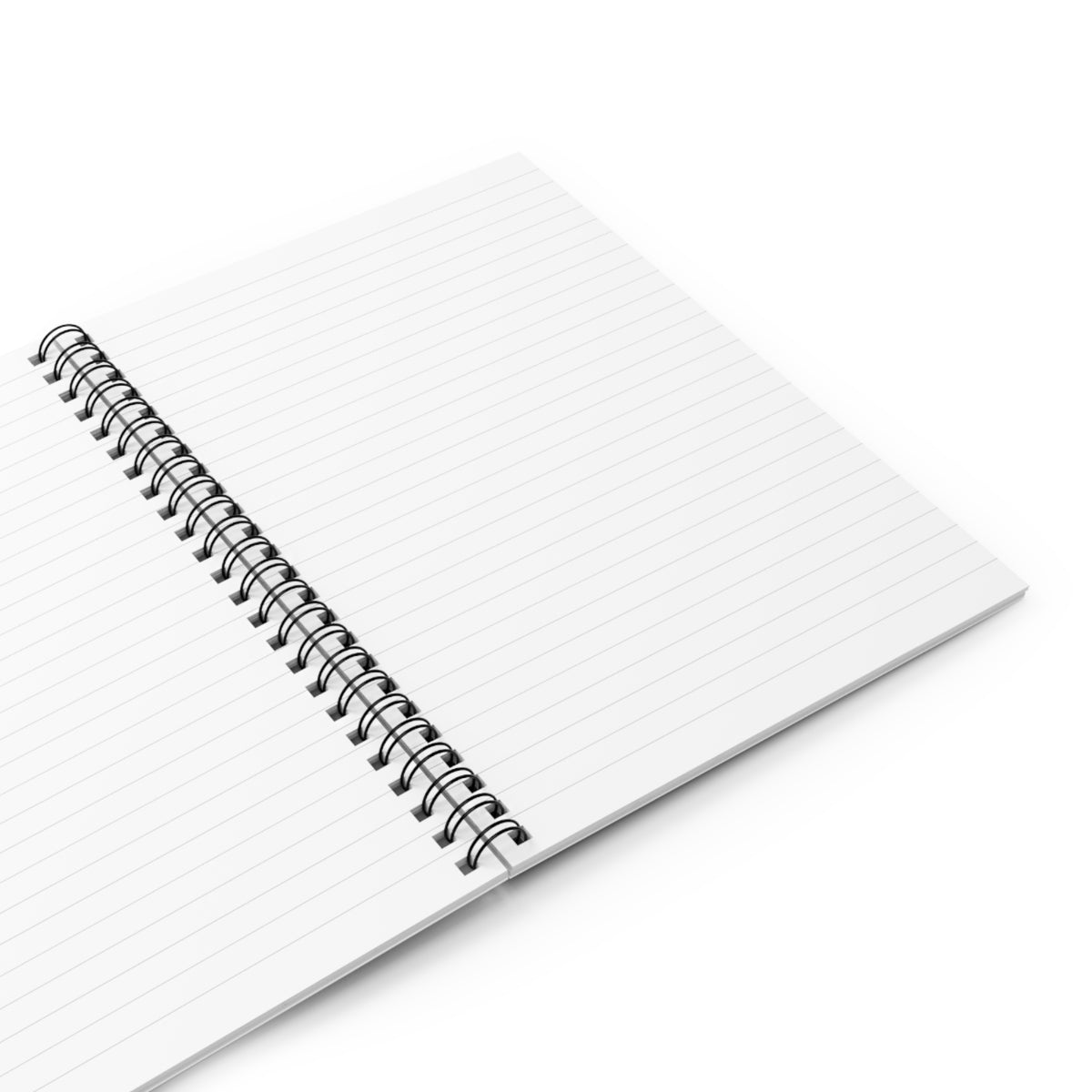 Social Work Case Notebook