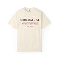 Normal, AL — Home of The Hill T-Shirt