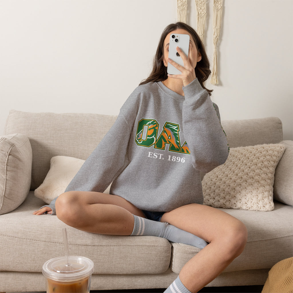 OAA Sweat Shirt with Mustang Sleeve