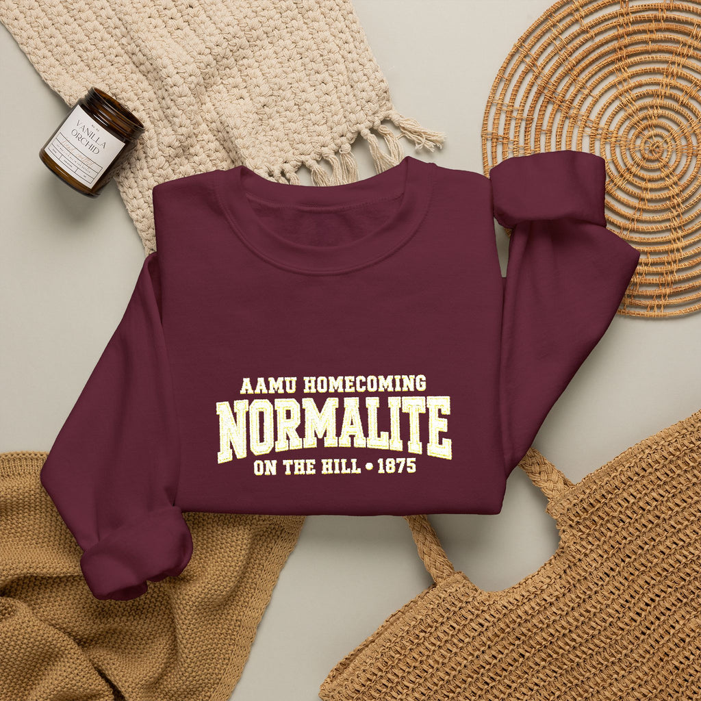 Normalite Homecoming Crewneck Sweatshirt Embroided— Retro 1970s Collegiate Graphic